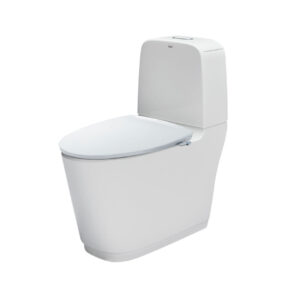 Bồn cầu INAX nắp rửa cơ AC-832+CW-S32VN/BW1