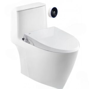 Bồn cầu 1 khối Inax nắp rửa cơ ACT-902+CW-S32VN/BW1