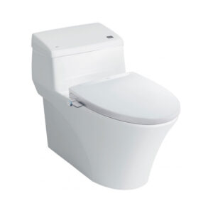 Bồn cầu INAX nắp rửa cơ AC-1017R+CW-S32VN/BW1