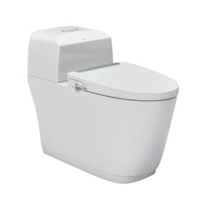 Bồn cầu INAX nắp rửa cơ AC-1032+CW-S32VN/BW1