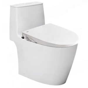 Bồn cầu 1 khối nắp rửa cơ INAX AC-902+CW-S15VN/BW1