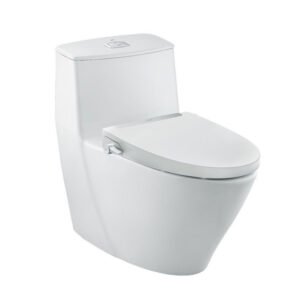 Bồn cầu INAX nắp rửa cơ AC-919R+CW-S32VN/BW1