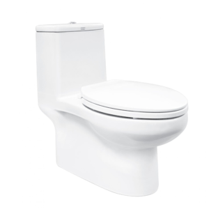 Bồn Cầu American Standard WP-1880N Một Khối