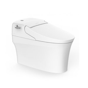 Bồn Cầu Điện Tử American Standard WP-5017 Aerozen G2