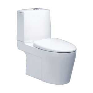 Bồn Cầu Caesar 2 Khối CD1345