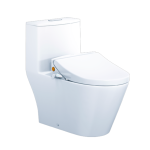 Bồn Cầu Nắp Rửa Cơ 1 Khối Caesar CD1363 + TAF050