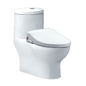 Bồn Cầu Nắp Rửa Cơ 1 Khối Caesar CD1375 + TAF050